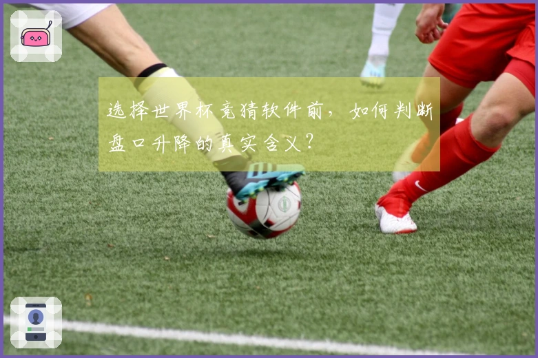 选择世界杯竞猜软件前，如何判断盘口升降的真实含义？