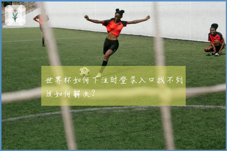 世界杯如何下注时登录入口找不到该如何解决？