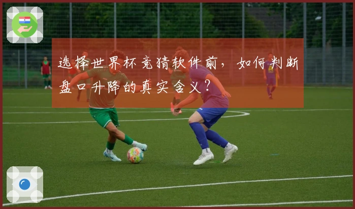 选择世界杯竞猜软件前，如何判断盘口升降的真实含义？