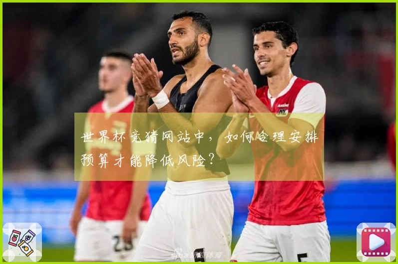 世界杯竞猜网站中，如何合理安排预算才能降低风险？