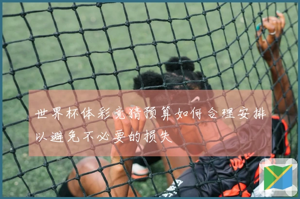 世界杯体彩竞猜预算如何合理安排以避免不必要的损失