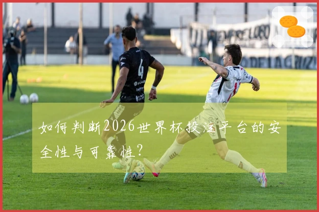 如何判断2026世界杯投注平台的安全性与可靠性？