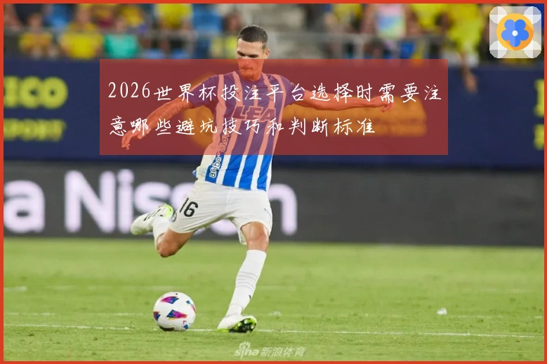 2026世界杯投注平台选择时需要注意哪些避坑技巧和判断标准