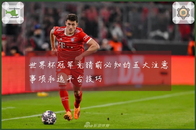 世界杯冠军竞猜前必知的五大注意事项和选平台技巧