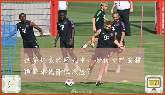 世界杯竞猜网站中，如何合理安排预算才能降低风险？