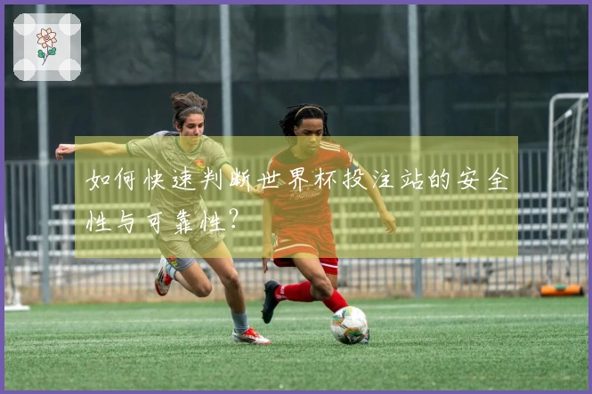 如何快速判断世界杯投注站的安全性与可靠性？