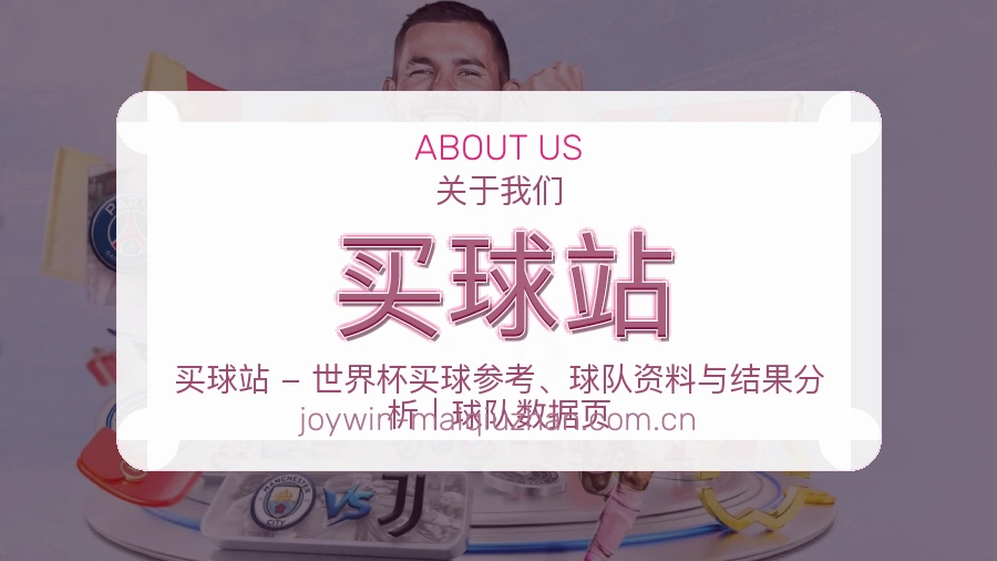 买球站站点服务说明配图